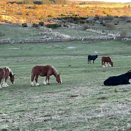 شقة La Nava De Gredos Acogedor Piso Con Vistas نافاريدوندا دي غريدوس