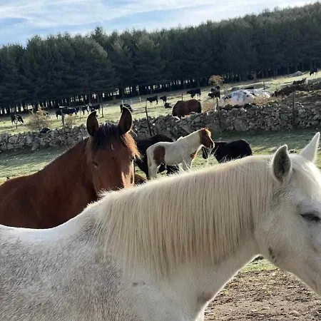 Daire La Nava De Gredos Acogedor Piso Con Vistas Navarredonda de Gredos