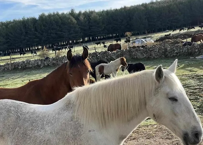 Apartmán La Nava De Gredos Acogedor Piso Con Vistas Navarredonda de Gredos